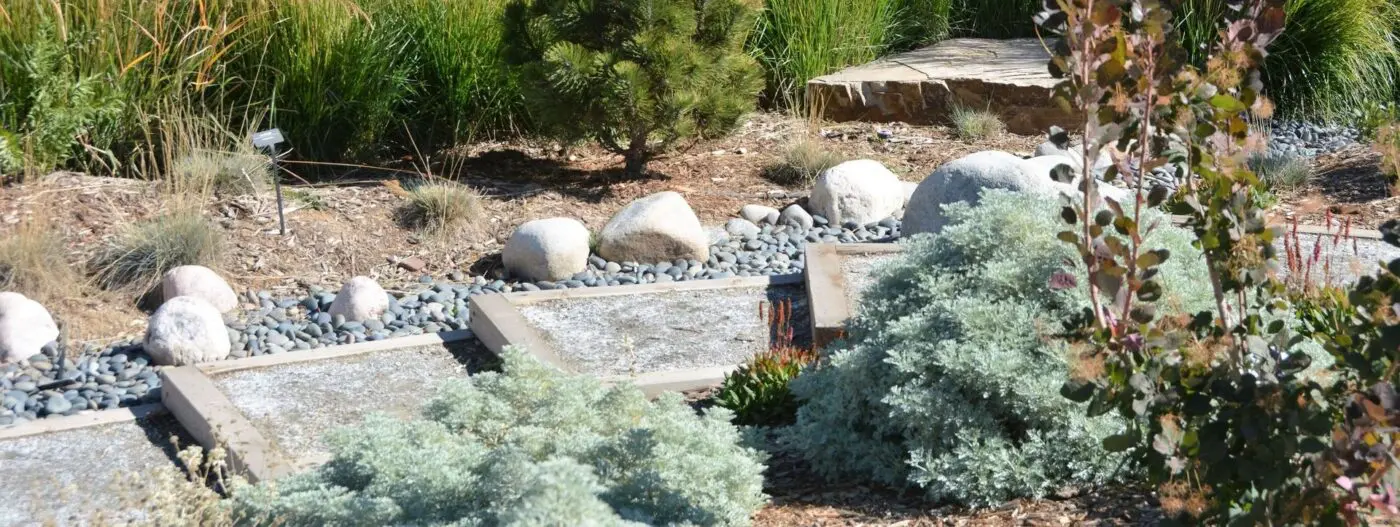 A serene garden scene with large rocks, decorative stones, and shrubs. There are paved stepping stones leading through the Goodyear landscape, surrounded by sunlit greenery and various types of bushes. Artificial grass blends seamlessly with the natural elements, including a tall plant with light green leaves in the foreground.